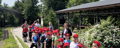 Wycieczka do Zoo w Zamościu